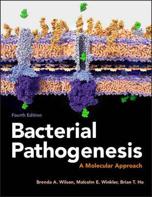 Bacterial Pathogenesis: A Molecular Approach - Brenda A. Wilson