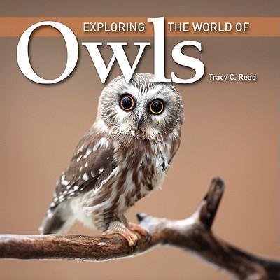 Exploring the World of Owls - Tracy Read