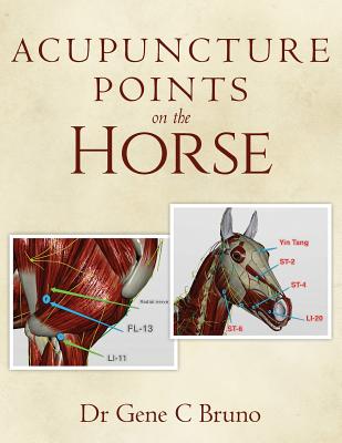 Acupuncture Points on the Horse - Gene C. Bruno
