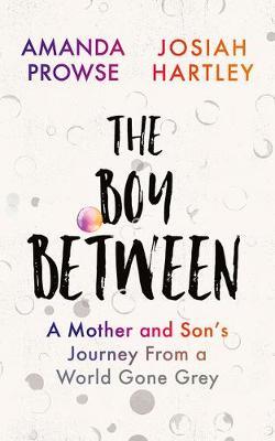 The Boy Between: A Mother and Son's Journey from a World Gone Grey - Josiah Hartley