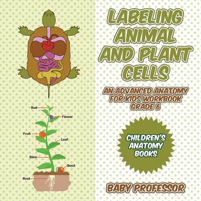 Labeling Animal and Plant Cells - An Advanced Anatomy for Kids Workbook Grade 6 - Children's Anatomy Books - Baby Professor