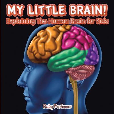 My Little Brain! - Explaining The Human Brain for Kids - Baby Professor