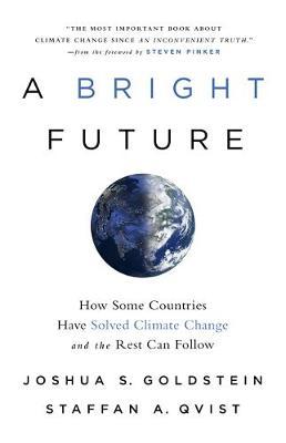 A Bright Future: How Some Countries Have Solved Climate Change and the Rest Can Follow - Joshua S. Goldstein