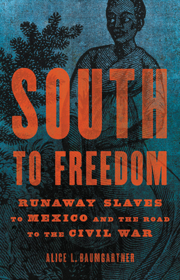 South to Freedom: Runaway Slaves to Mexico and the Road to the Civil War - Alice L. Baumgartner