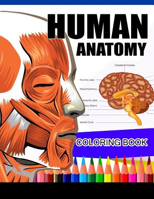 Human Anatomy Coloring Book: Anatomy & Physiology Coloring Book (Complete Workbook) - Dr James K. Hudak