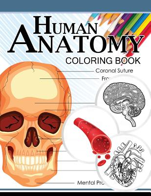 Human Anatomy Coloring Book: Anatomy & Physiology Coloring Book 3rd Edtion - Dr Michael D. Clark