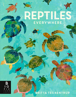 Reptiles Everywhere - Camilla De La Bedoyere
