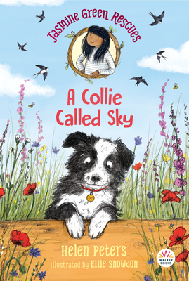 Jasmine Green Rescues: A Collie Called Sky - Helen Peters