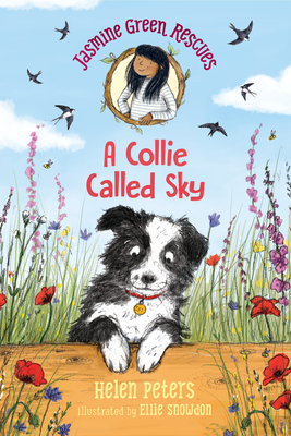 Jasmine Green Rescues: A Collie Called Sky - Helen Peters