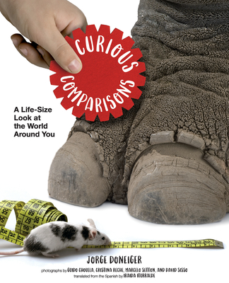 Curious Comparisons: A Life-Size Look at the World Around You - Jorge Doneiger