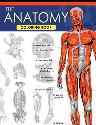 The Anatomy Coloring Book: A Complete Study Guide (9th Edition) - Dr Jessica C. Flynn