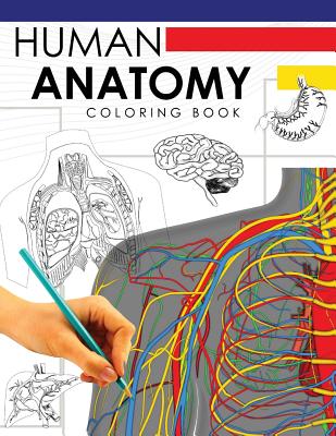 Human Anatomy Coloring Book: A Complete Study Guide (5th Edition) - Dr William A. Douglas