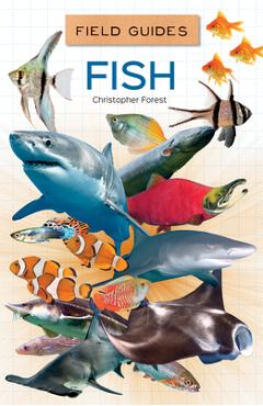 Coperta cărții 'Fish - Christopher Forest'