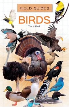 Coperta cărții 'Birds - Tracy Abell'