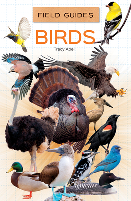 Coperta cărții 'Birds - Tracy Abell'