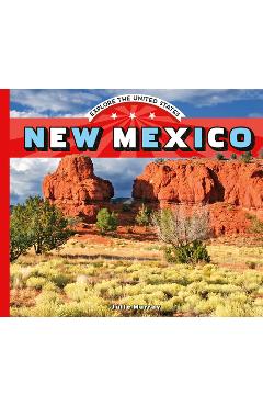 Coperta cărții 'New Mexico - Julie Murray'