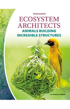 Ecosystem Architects: Animals Building Incredible Structures
