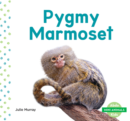 Pygmy Marmoset - Julie Murray