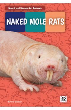 Coperta cărții 'Naked Mole Rats - Emma Bassier'