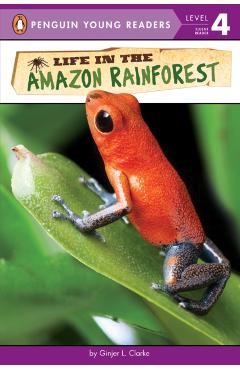 Life in the Amazon Rainforest - Ginjer L. Clarke
