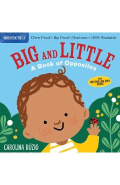 Indestructibles: Big and Little: Chew Proof - Rip Proof - Nontoxic - 100% Washable (Book for Babies, Newborn Books, Safe to Chew) - Carolina Bzio