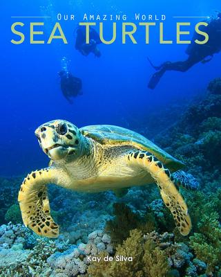 Sea Turtles: Amazing Pictures & Fun Facts on Animals in Nature - Kay De Silva