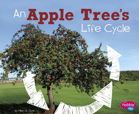 An Apple Tree's Life Cycle - Mary R. Dunn