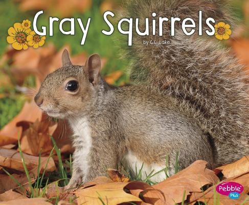 Gray Squirrels - G. G. Lake