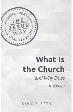 What Is the Church and Why Does It Exist? - David E. Fitch