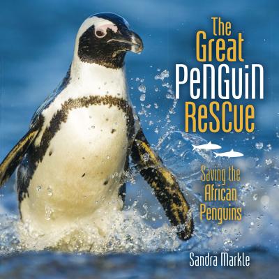 The Great Penguin Rescue: Saving the African Penguins - Sandra Markle