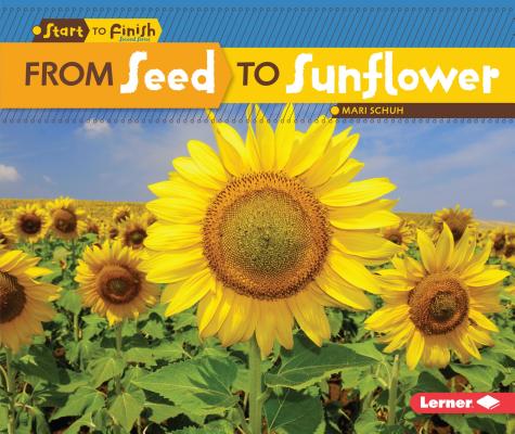 From Seed to Sunflower - Mari C. Schuh