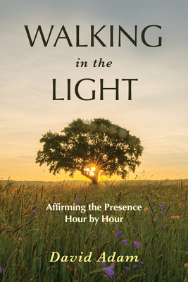 Walking in the Light: Affirming the Presence Hour by Hour - David Adam