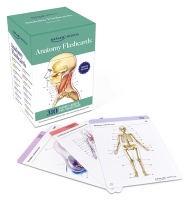 Anatomy Flashcards - Stephanie Mccann