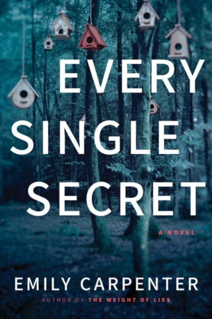 Every Single Secret - Emily Carpenter