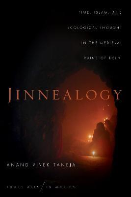 Jinnealogy: Time, Islam, and Ecological Thought in the Medieval Ruins of Delhi - Anand Vivek Taneja