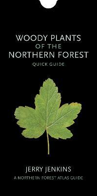 Woody Plants of the Northern Forest: Quick Guide - Jerry Jenkins