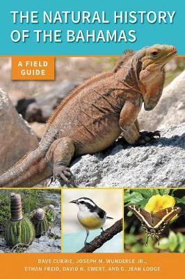 The Natural History of the Bahamas: A Field Guide - Dave Currie