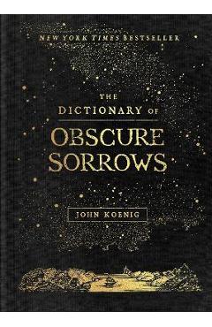 Coperta cărții 'The Dictionary of Obscure Sorrows - John Koenig'