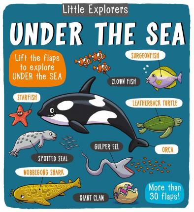 Little Explorers: Under the Sea - Little Bee Books