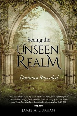 Seeing the Unseen Realm - James A. Durham