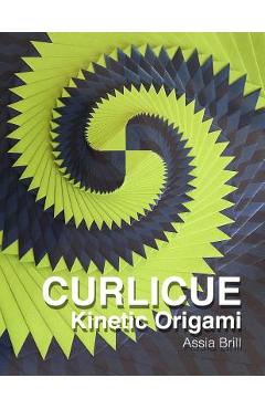 Coperta cărții 'Curlicue: Kinetic Origami - Assia Brill'