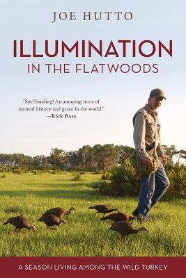 Illumination in the Flatwoods: A Season Living Among the Wild Turkey - Joe Hutto