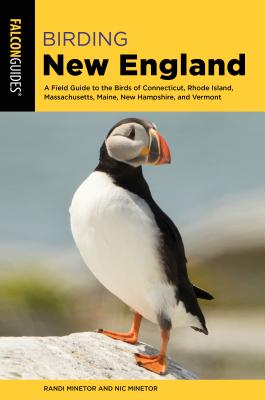 Birding New England: A Field Guide to the Birds of Connecticut, Rhode Island, Massachusetts, Maine, New Hampshire, and Vermont - Randi Minetor