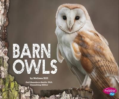 Barn Owls - Gail Saunders-smith