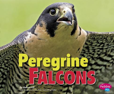 Peregrine Falcons - Gail Saunders-smith