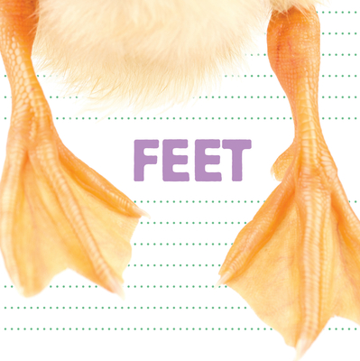 Feet - Katrine Crow