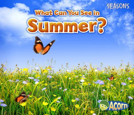 What Can You See in Summer? - Sian Smith