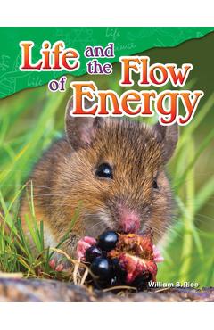 Coperta cărții 'Life and the Flow of Energy - William B. Rice'