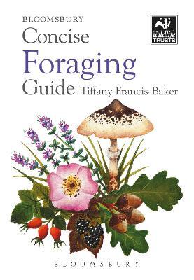 Concise Foraging Guide - Tiffany Francis-baker