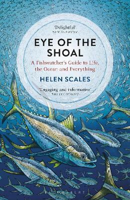 Eye of the Shoal: A Fishwatcher's Guide to Life, the Ocean and Everything - Helen Scales